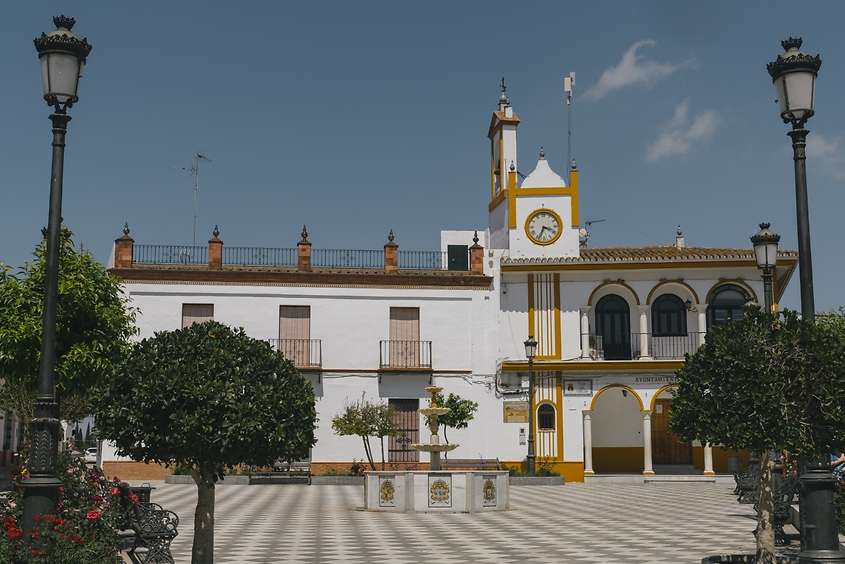 Licitación abierta: Desarrollo de la nueva web turística de Aznalcázar