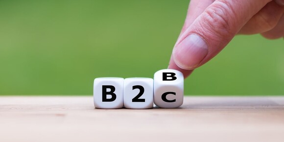B2C (Business to Consumer)